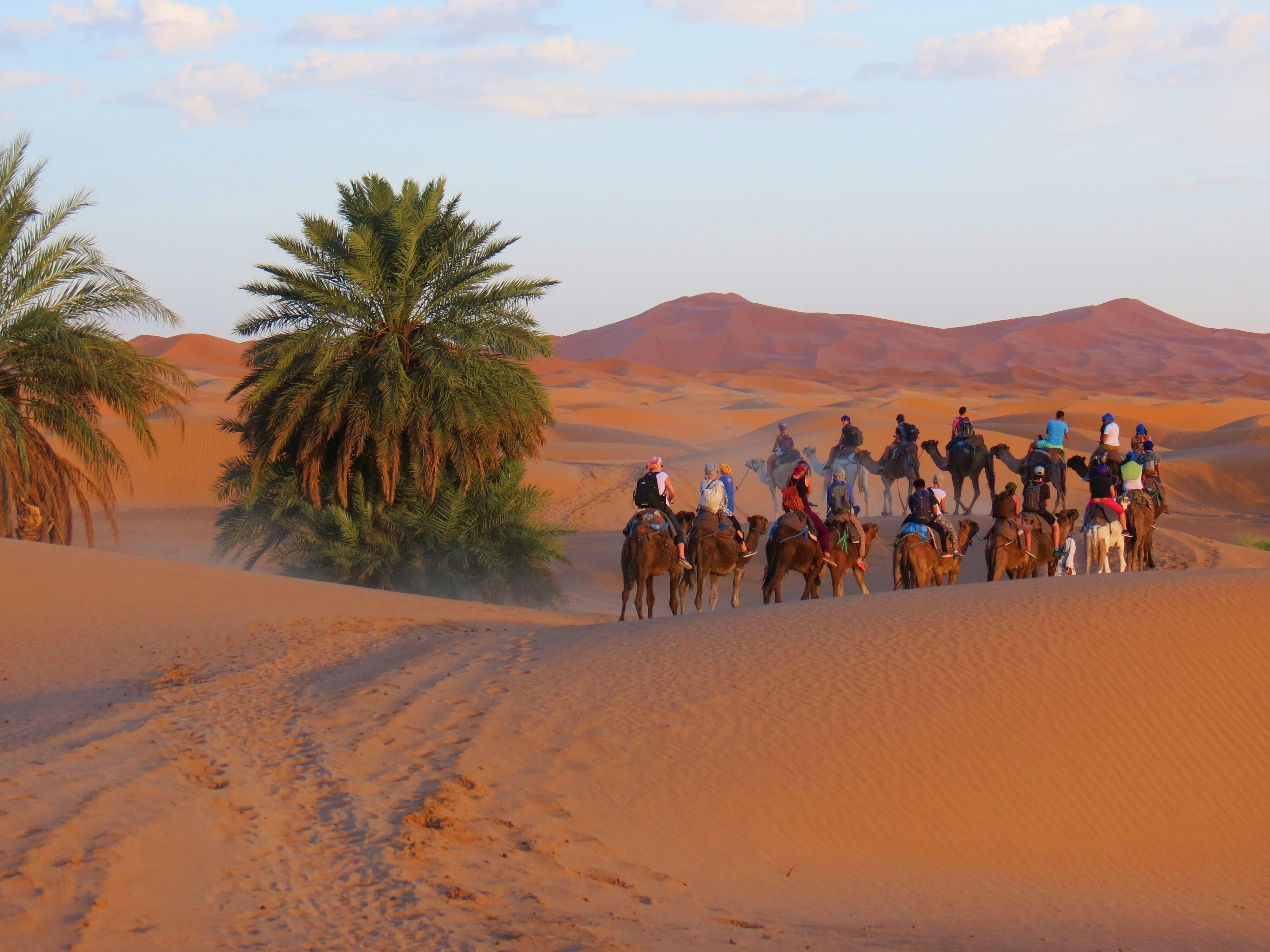 Camel Trekking in Sahara desert