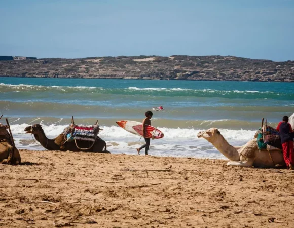 Best Time to Visit Morocco: A Complete Seasonal Travel Guide